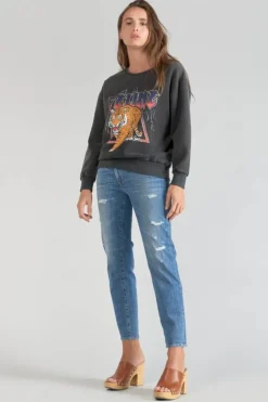 Femme Le Temps des Cerises Pulls & Sweats & Cardigans-Sweat Nyke Gris Delave